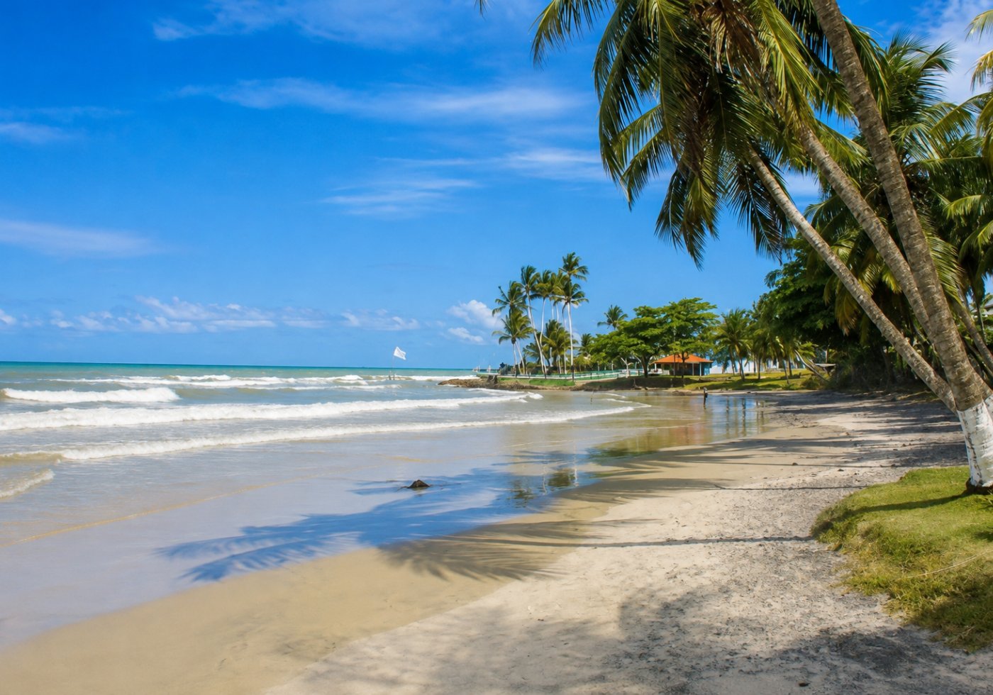 Praia com coqueiros inclinados no sul da Bahia